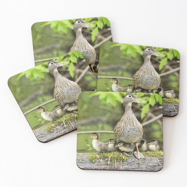 Item preview, Wood Duck Family designed and sold by MIRCEA COSTINA.
