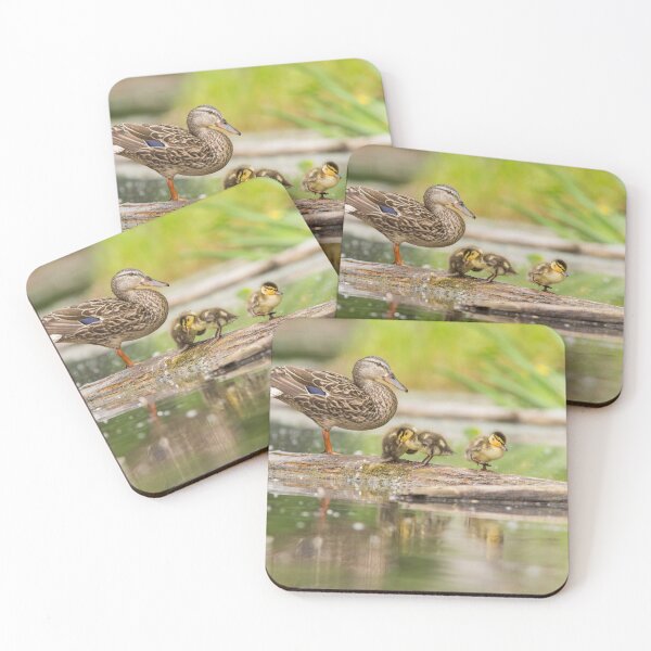Item preview, Mallard Family  designed and sold by MIRCEA COSTINA.