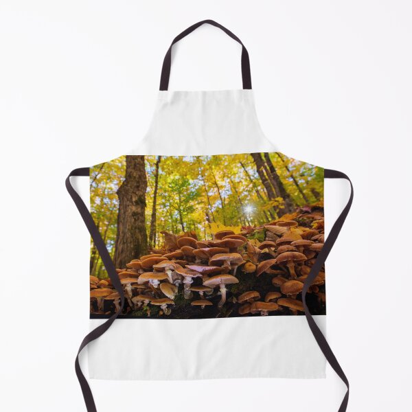 Item preview, October mushroom designed and sold by MIRCEA COSTINA.