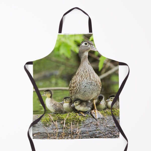 Item preview, Wood Duck Family designed and sold by MIRCEA COSTINA.