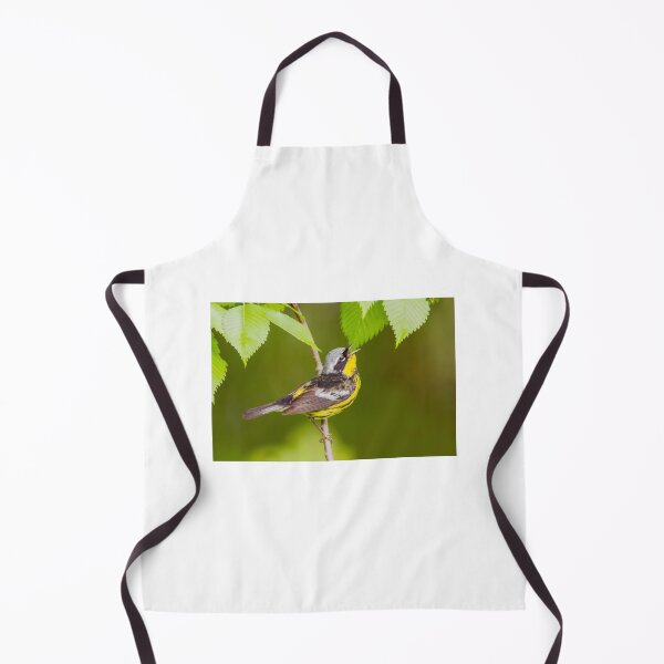 Item preview, Magnolia warbler designed and sold by MIRCEA COSTINA.