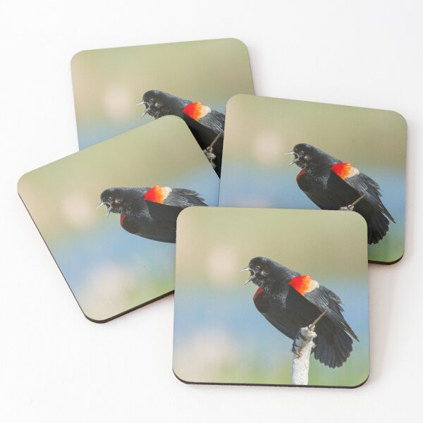 Item preview, Red winged blackbird designed and sold by MIRCEA COSTINA.