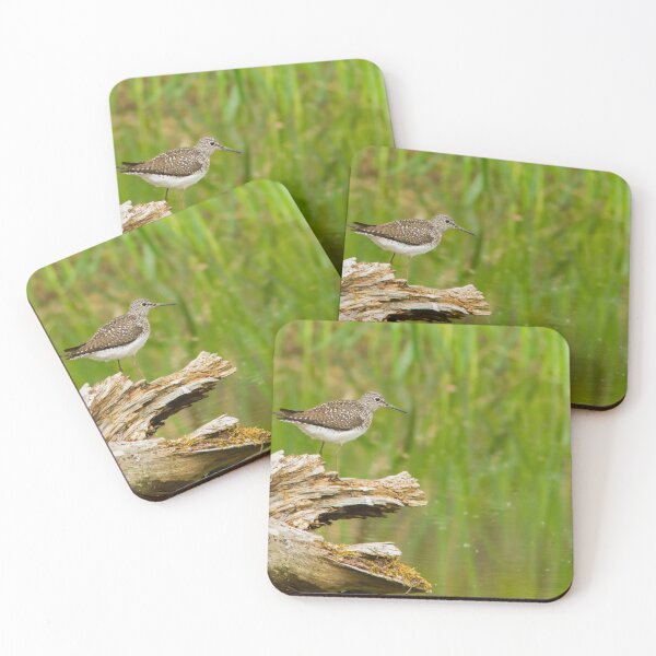 Item preview, Solitary Sandpiper  designed and sold by MIRCEA COSTINA.
