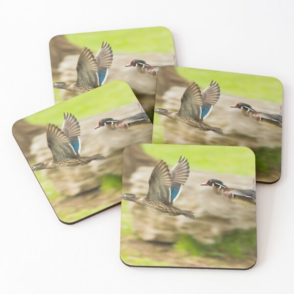 Item preview, Wood-ducks in flight designed and sold by MIRCEA COSTINA.