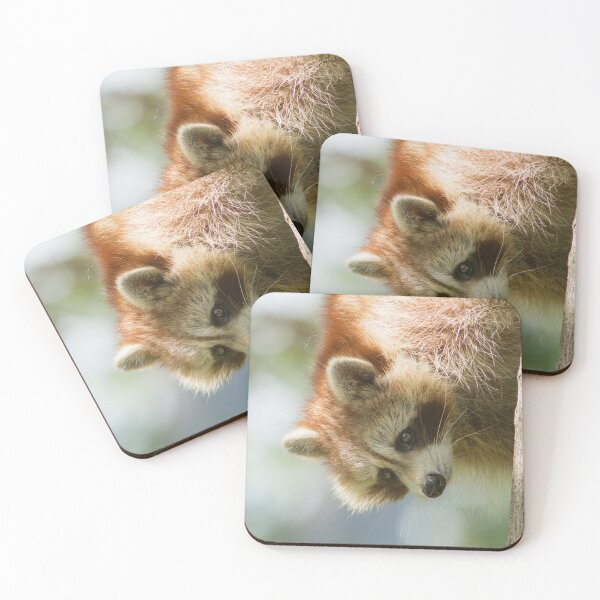 Item preview, Raccoon portrait designed and sold by MIRCEA COSTINA.