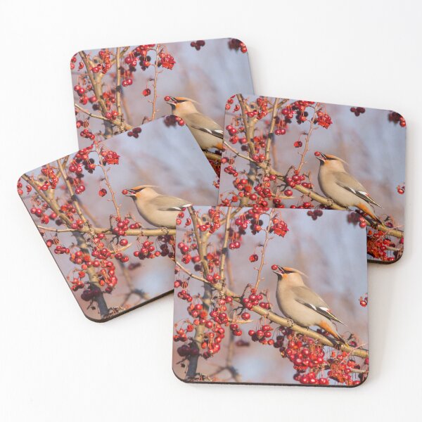 Item preview, Bohemian Waxwing designed and sold by MIRCEA COSTINA.