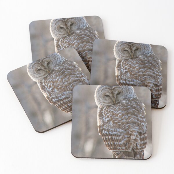 Item preview, Barred Owl  designed and sold by MIRCEA COSTINA.