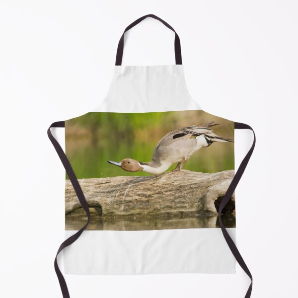 Item preview, Northern Pintail designed and sold by MIRCEA COSTINA.