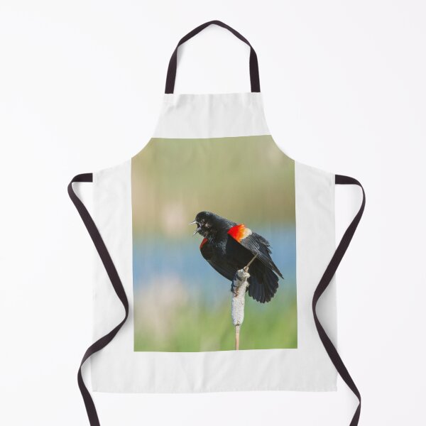 Item preview, Red winged blackbird designed and sold by MIRCEA COSTINA.