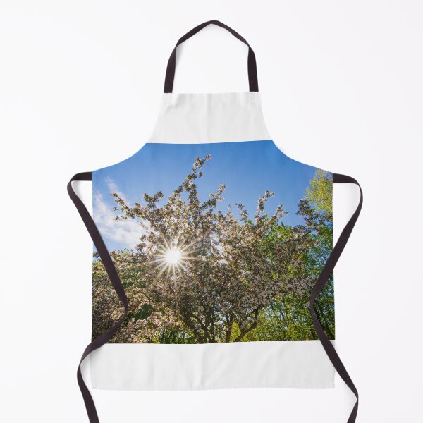 Item preview, Spring designed and sold by MIRCEA COSTINA.