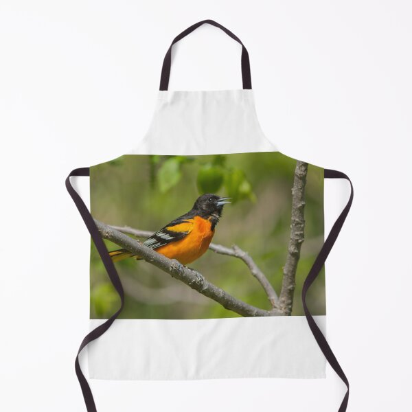 Artikelvorschau, Herr Oriole entworfen und verkauft von MIRCEA COSTINA.