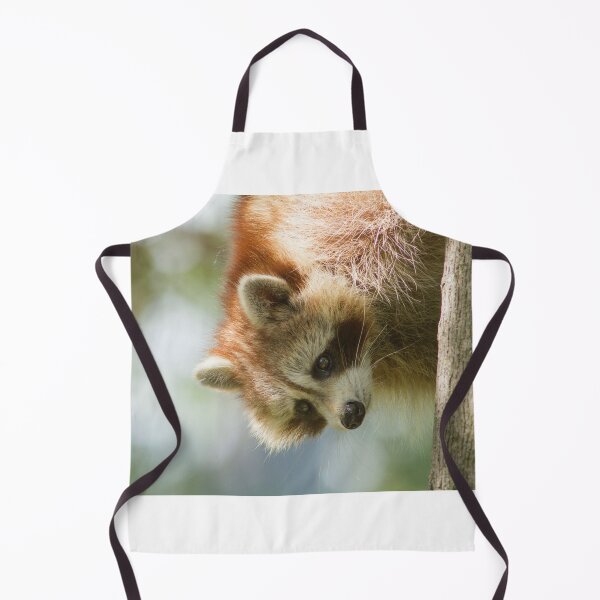 Item preview, Raccoon portrait designed and sold by MIRCEA COSTINA.