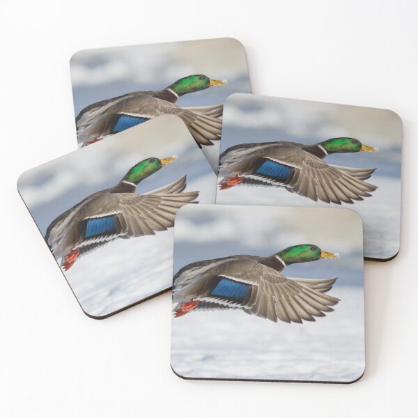 Item preview, Drake in winter designed and sold by MIRCEA COSTINA.