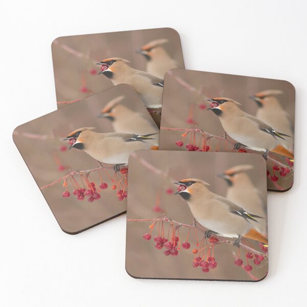Item preview, Bohemian Waxwings designed and sold by MIRCEA COSTINA.
