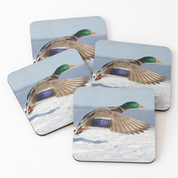 Item preview, Winter Duck designed and sold by MIRCEA COSTINA.
