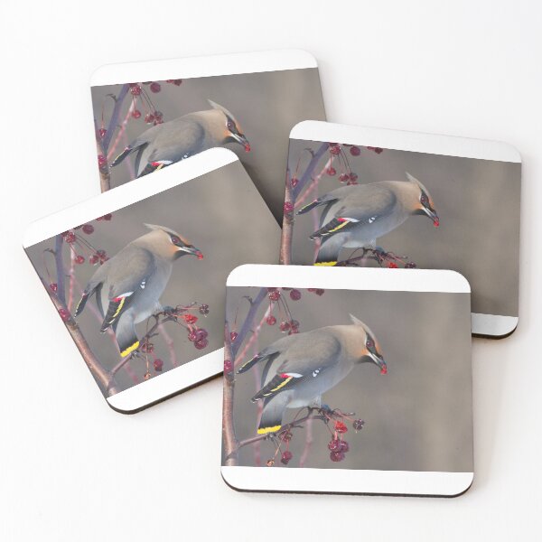 Item preview, Waxwing designed and sold by MIRCEA COSTINA.