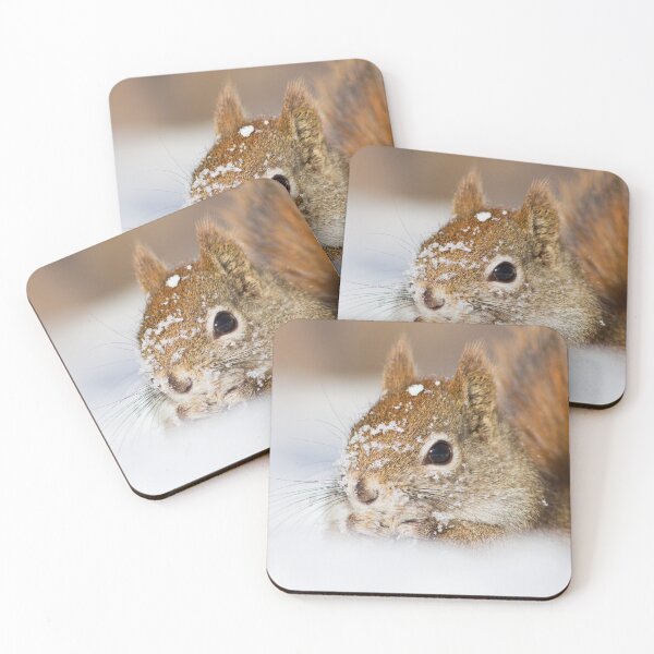 Item preview, North American Red Squirrel  designed and sold by MIRCEA COSTINA.