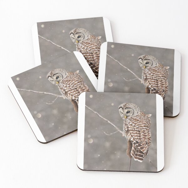 Item preview, Barred Owl (Strix varia) designed and sold by MIRCEA COSTINA.