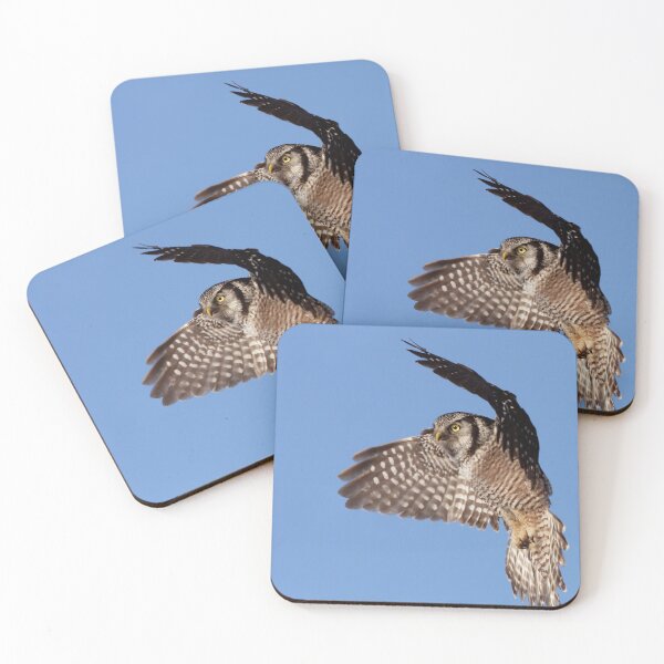 Item preview, Northern Hawk Owl (Surnia ulula) designed and sold by MIRCEA COSTINA.