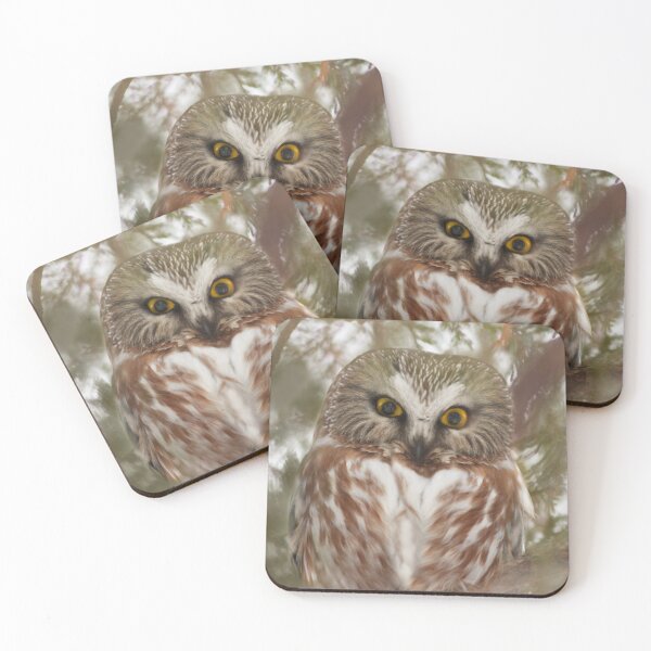 Item preview, Northern Saw-whet Owl  ( Aegolius acadicus ) designed and sold by MIRCEA COSTINA.