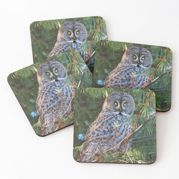 Item preview, Great Grey (Owl Strix nebulosa) designed and sold by MIRCEA COSTINA.