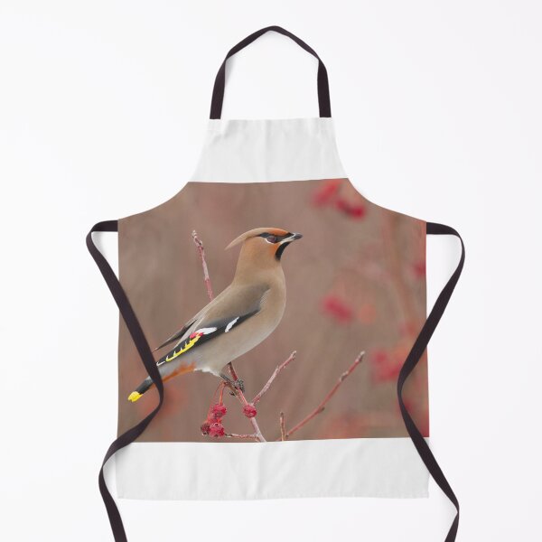Item preview, Waxwing in winter designed and sold by MIRCEA COSTINA.