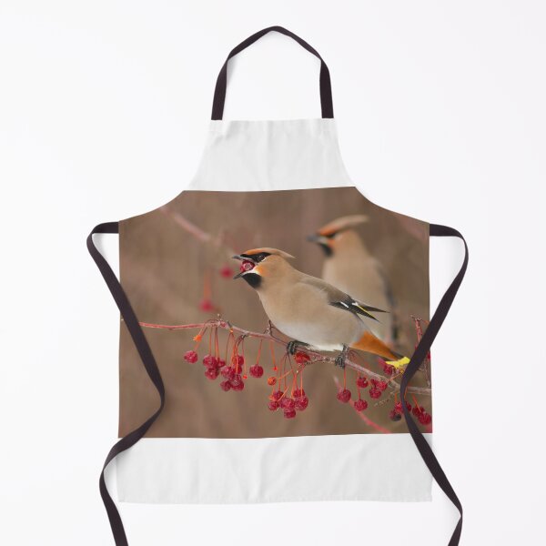 Item preview, Bohemian Waxwings designed and sold by MIRCEA COSTINA.