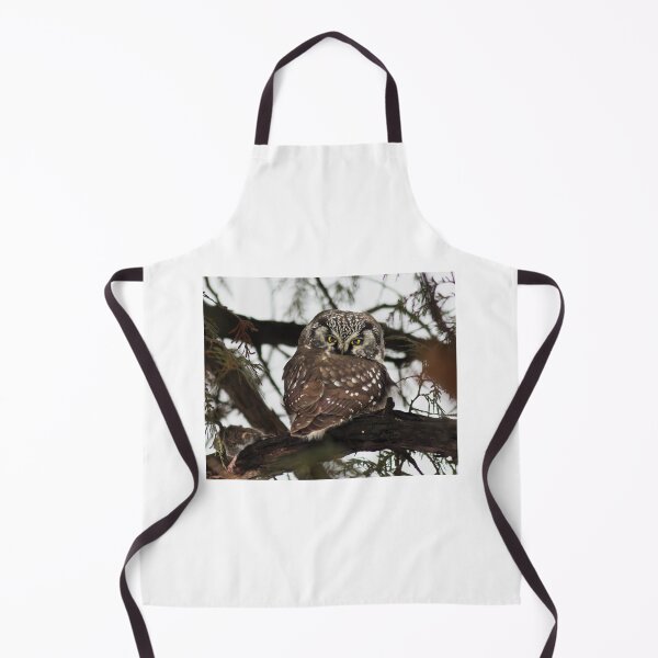 Item preview, Boreal owl (Aegolius funereus) designed and sold by MIRCEA COSTINA.
