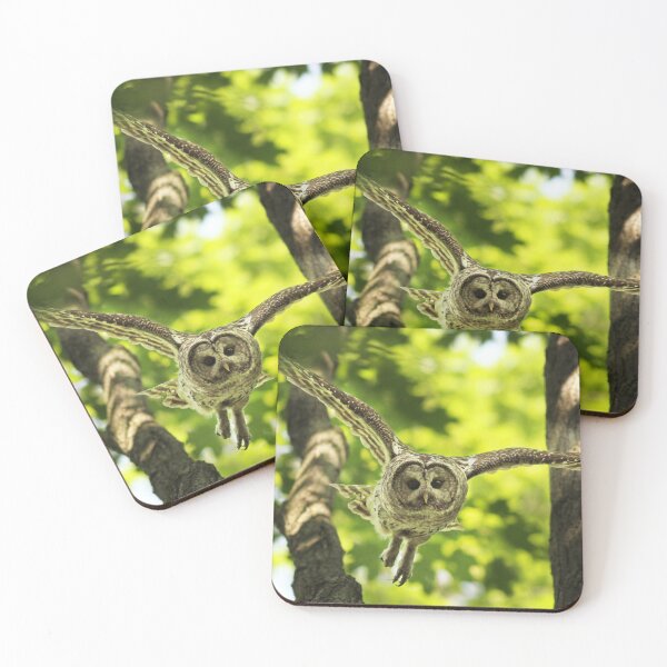 Item preview, Barred Owl (Strix varia)  designed and sold by MIRCEA COSTINA.