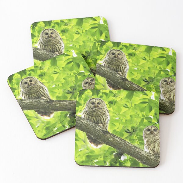 Item preview, Barred Owl (Strix varia) designed and sold by MIRCEA COSTINA.