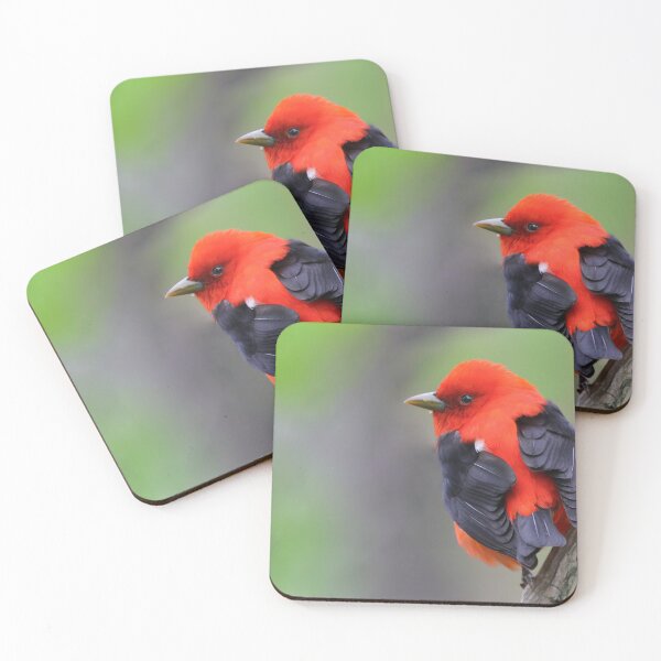 Item preview, Scarlet Tanager designed and sold by MIRCEA COSTINA.