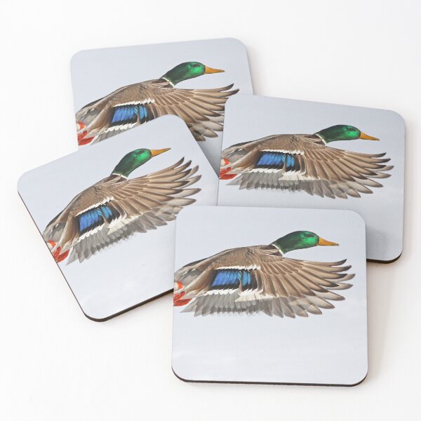 Item preview, Mallard duck in flight designed and sold by MIRCEA COSTINA.