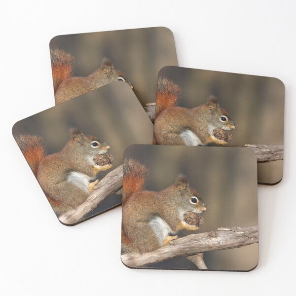 Item preview, Red squirrel in autumn designed and sold by MIRCEA COSTINA.