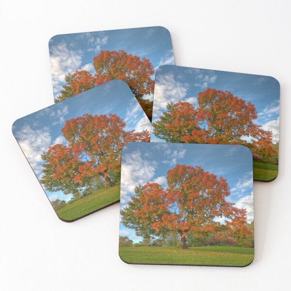 Item preview, The old maple designed and sold by MIRCEA COSTINA.