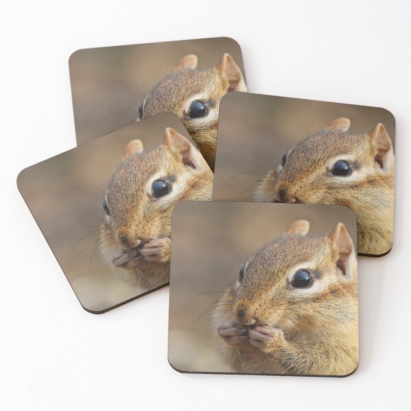 Item preview, Chipmunk Portrait designed and sold by MIRCEA COSTINA.