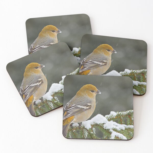 Item preview, Pine Grosbeak designed and sold by MIRCEA COSTINA.