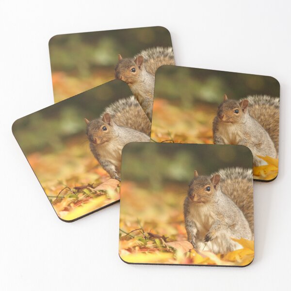 Item preview, Squirrel in autumn designed and sold by MIRCEA COSTINA.