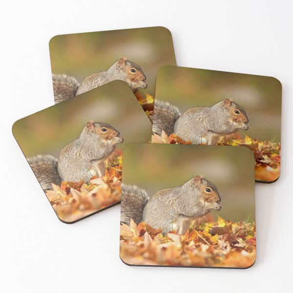Item preview, Eastern gray squirrel designed and sold by MIRCEA COSTINA.