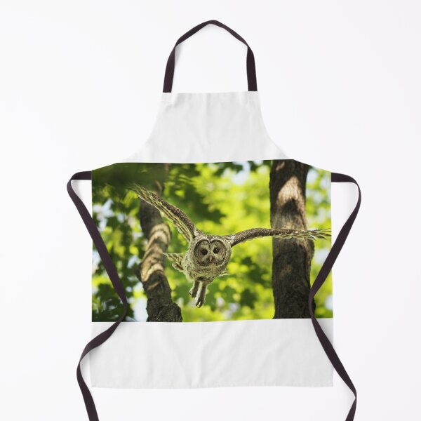Item preview, Barred Owl (Strix varia)  designed and sold by MIRCEA COSTINA.