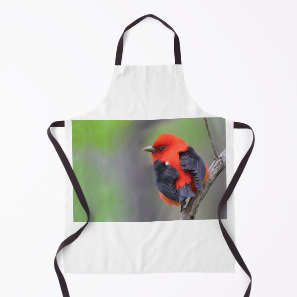 Item preview, Scarlet Tanager designed and sold by MIRCEA COSTINA.