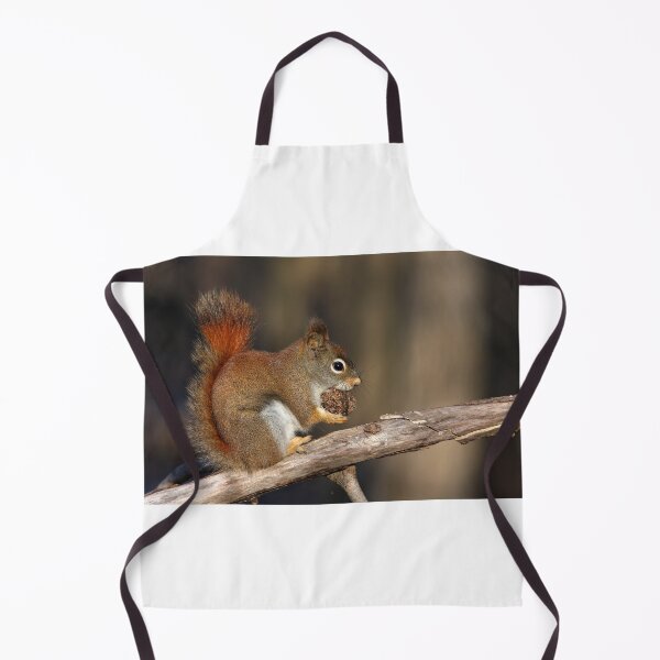 Item preview, Red squirrel in autumn designed and sold by MIRCEA COSTINA.
