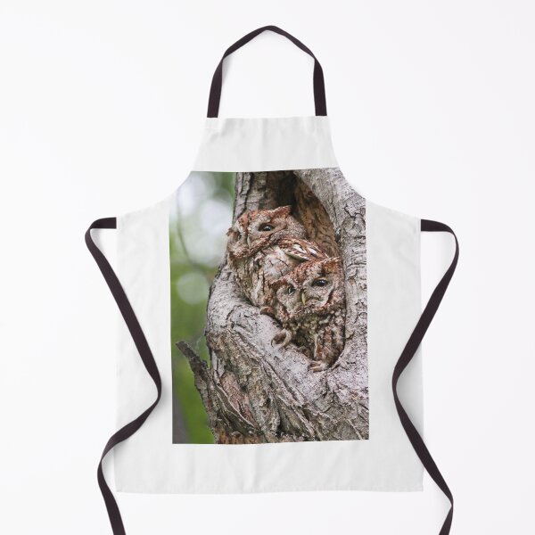 Item preview, Owls couple designed and sold by MIRCEA COSTINA.