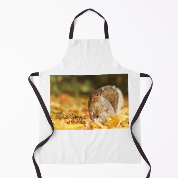Item preview, Squirrel in autumn designed and sold by MIRCEA COSTINA.