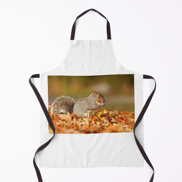 Item preview, Eastern gray squirrel designed and sold by MIRCEA COSTINA.