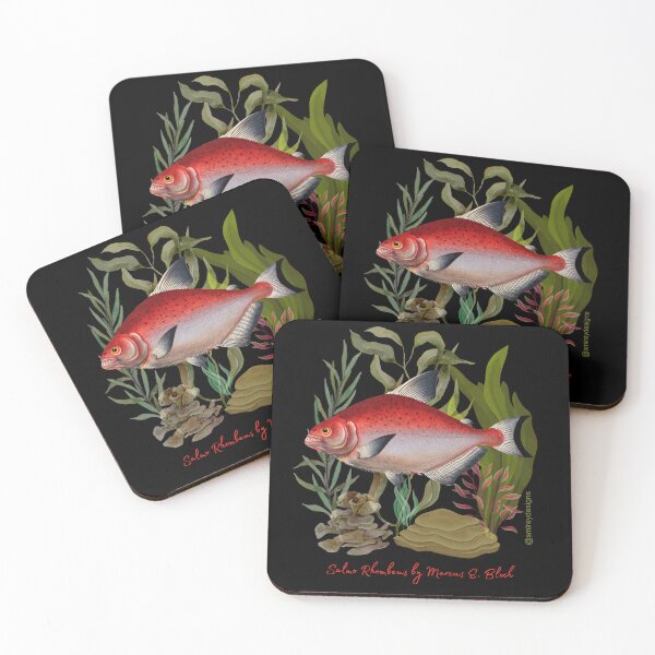 Item preview, Salmo Rhombeus by Marcus E. Bloch designed and sold by smirey designs.