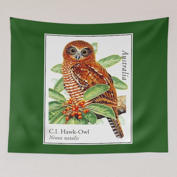 Item preview, Hawk Owl : Australian Tropical Ninox Natalis Bird Print designed and sold by posterbobs.