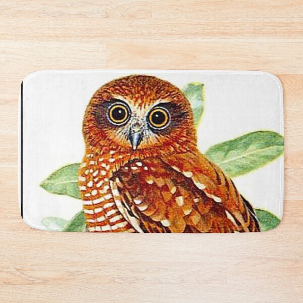 Item preview, Hawk Owl : Australian Tropical Ninox Natalis Bird Print designed and sold by posterbobs.