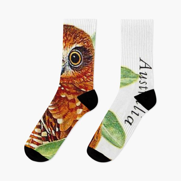 Item preview, Hawk Owl : Australian Tropical Ninox Natalis Bird Print designed and sold by posterbobs.