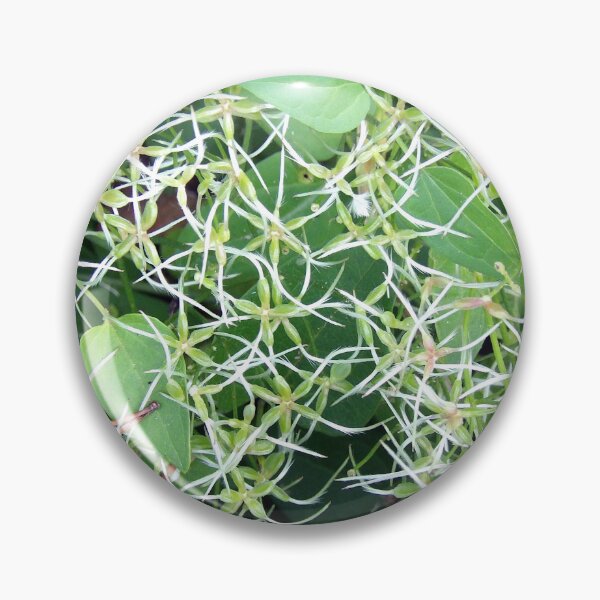 Item preview, Late Phase Bloom Autumn Clematis designed and sold by gistinker.
