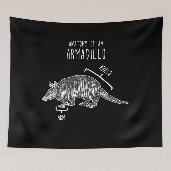 Item preview, Armadillo Animal Anatomy designed and sold by Clara Hollins.